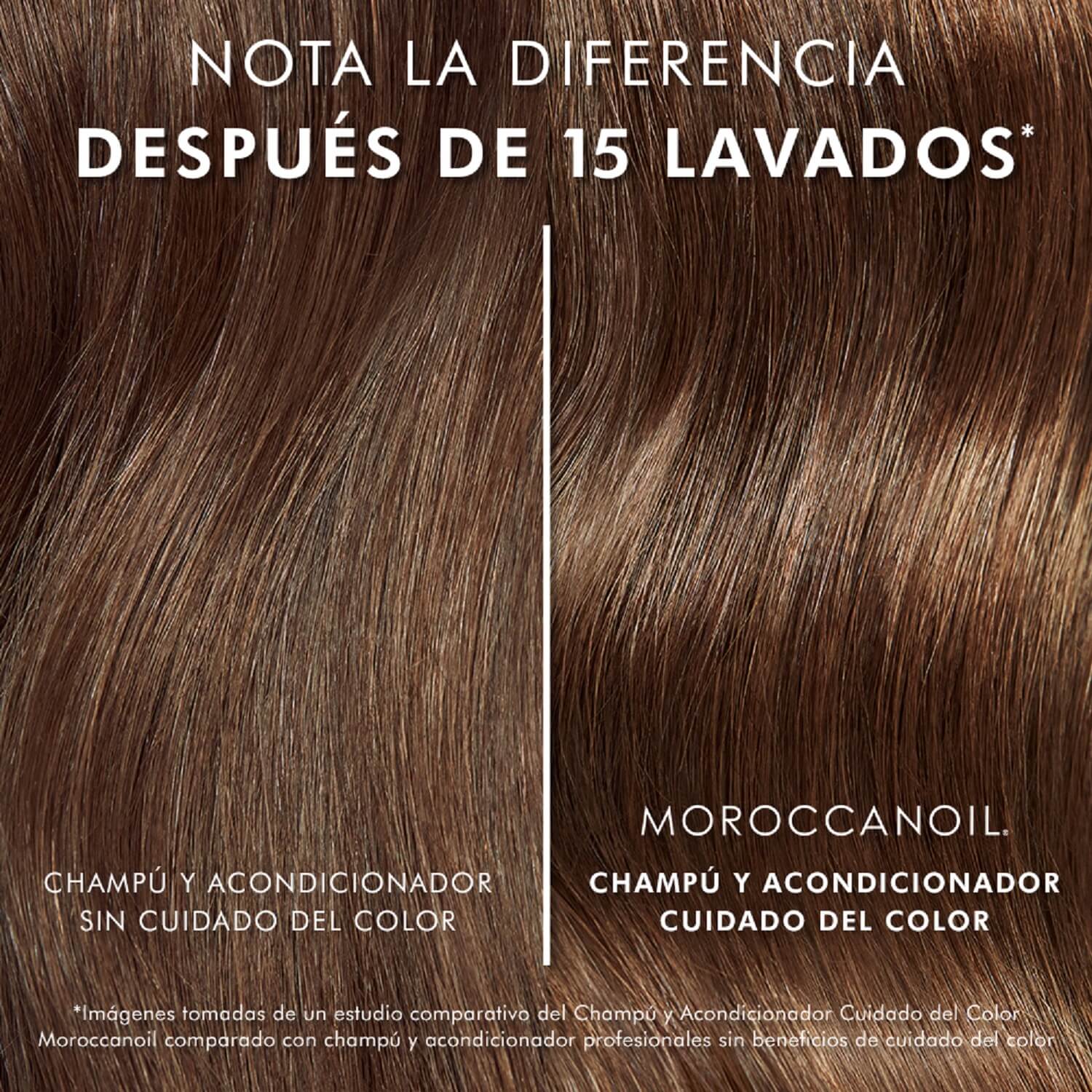 COLOR CARE CONDITIONER (ACONDICIONADOR HIDRATANTE PARA CABELLO TEÑIDO)